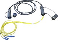 Cable Assembly and Patch Cords
